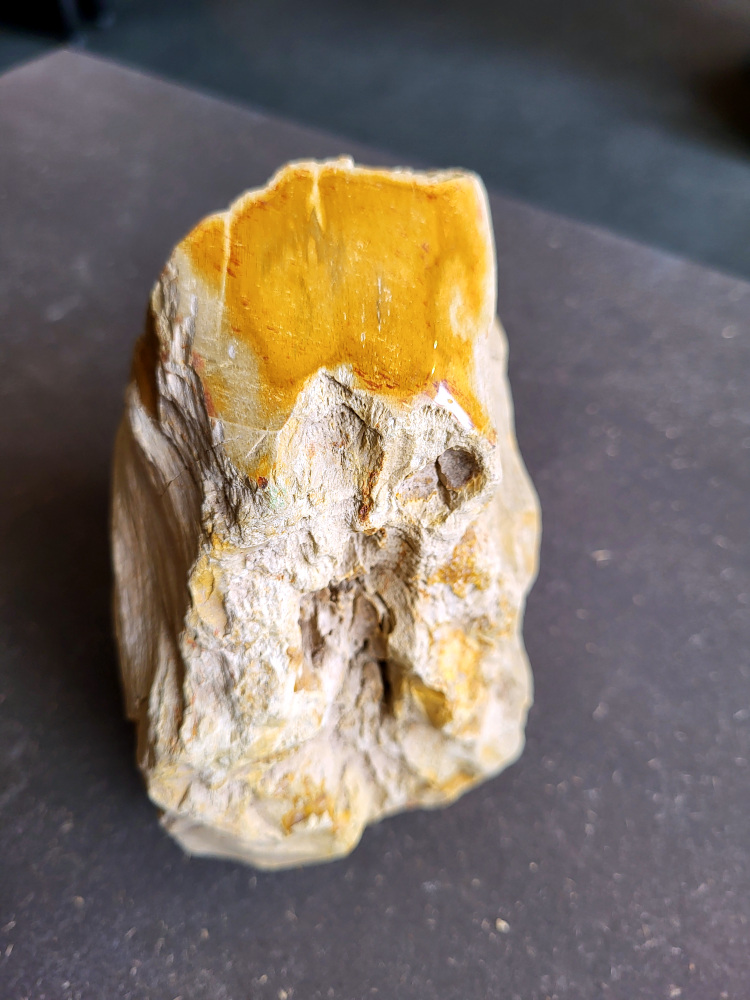 <strong>Versteend hout, 2,3kg, 20,- euro, nr. 16

Versteend hout, beschrijving
Versteend hout
Chakra: wortelchakra (Muladhara)
Versteend hout is miljoenen jaren oud!
Waar komt versteend hout vandaan en hoe ontstaan het?
Versteend hout, of gefossiliseerd hout, ontstaat wanneer een boom na zijn overlijden bedekt wordt door sediment, waardoor het langzaam omgezet wordt in steen. In plaats van te vergaan, wordt het hout geleidelijk vervangen door mineralen zoals silica. Dit proces behoudt de originele structuur van het hout, inclusief details zoals jaarringen en nerven. Het kan miljoenen jaren duren, aangezien het water dat rijk is aan mineralen de houtcellen binnendringt, terwijl zuurstof geen rol meer speelt in de afbraak.
De kleur van versteend hout is precies zoals het hout er oorspronkelijk uit zag.
Waar kan versteend hout niet goed tegen?
Het is bestand tegen de meeste elementen, maar kan niet goed tegen langdurige blootstelling aan fel zonlicht, extreme temperatuurwisselingen en scherpe voorwerpen die krassen kunnen veroorzaken.
Spirituele werking van versteend hout:
stabiliteit, rust en veiligheid
Fysiek zou het positieve effecten hebben op het skelet, de botten en de rug, en kan het ondersteuning bieden bij aandoeningen zoals osteoporose en ADHD.
Hoe opladen?
Je kunt versteend hout, als het volle maan is, ‘s nachts in het maanlicht leggen, bij een bergkristal of andere stenen leggen of reinigen met saliehout/palo santo.</strong>