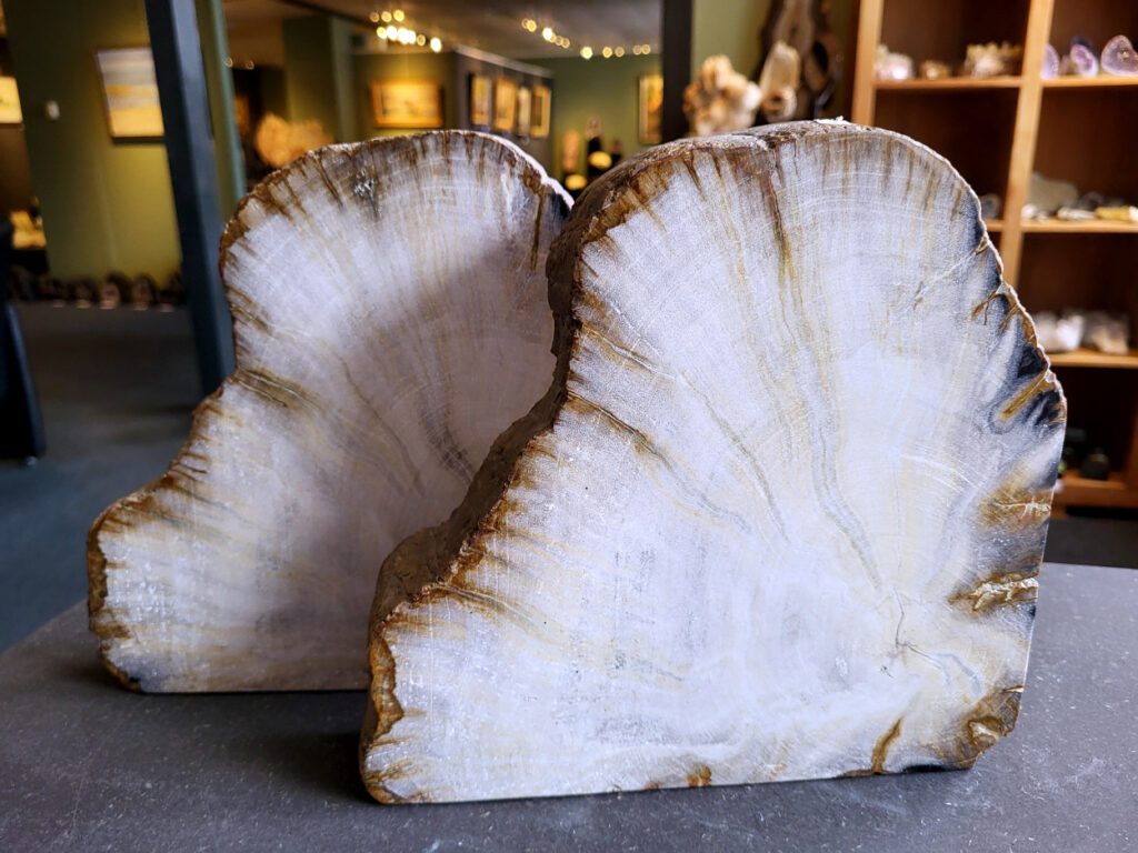 <strong>Versteend hout, boekensteun, 7,6kg, per paar 155,- euro, nr. 13

Versteend hout, beschrijving
Versteend hout
Chakra: wortelchakra (Muladhara)
Versteend hout is miljoenen jaren oud!
Waar komt versteend hout vandaan en hoe ontstaan het?
Versteend hout, of gefossiliseerd hout, ontstaat wanneer een boom na zijn overlijden bedekt wordt door sediment, waardoor het langzaam omgezet wordt in steen. In plaats van te vergaan, wordt het hout geleidelijk vervangen door mineralen zoals silica. Dit proces behoudt de originele structuur van het hout, inclusief details zoals jaarringen en nerven. Het kan miljoenen jaren duren, aangezien het water dat rijk is aan mineralen de houtcellen binnendringt, terwijl zuurstof geen rol meer speelt in de afbraak.
De kleur van versteend hout is precies zoals het hout er oorspronkelijk uit zag.
Waar kan versteend hout niet goed tegen?
Het is bestand tegen de meeste elementen, maar kan niet goed tegen langdurige blootstelling aan fel zonlicht, extreme temperatuurwisselingen en scherpe voorwerpen die krassen kunnen veroorzaken.
Spirituele werking van versteend hout:
stabiliteit, rust en veiligheid
Fysiek zou het positieve effecten hebben op het skelet, de botten en de rug, en kan het ondersteuning bieden bij aandoeningen zoals osteoporose en ADHD.
Hoe opladen?
Je kunt versteend hout, als het volle maan is, ‘s nachts in het maanlicht leggen, bij een bergkristal of andere stenen leggen of reinigen met saliehout/palo santo.</strong>