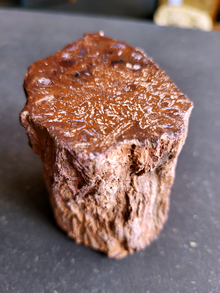 <strong>Versteend hout uit Madagaskar, 0,5kg, 13,- euro, nr. 25

Versteend hout, beschrijving
Versteend hout
Chakra: wortelchakra (Muladhara)
Versteend hout is miljoenen jaren oud!
Waar komt versteend hout vandaan en hoe ontstaan het?
Versteend hout, of gefossiliseerd hout, ontstaat wanneer een boom na zijn overlijden bedekt wordt door sediment, waardoor het langzaam omgezet wordt in steen. In plaats van te vergaan, wordt het hout geleidelijk vervangen door mineralen zoals silica. Dit proces behoudt de originele structuur van het hout, inclusief details zoals jaarringen en nerven. Het kan miljoenen jaren duren, aangezien het water dat rijk is aan mineralen de houtcellen binnendringt, terwijl zuurstof geen rol meer speelt in de afbraak.
De kleur van versteend hout is precies zoals het hout er oorspronkelijk uit zag.
Waar kan versteend hout niet goed tegen?
Het is bestand tegen de meeste elementen, maar kan niet goed tegen langdurige blootstelling aan fel zonlicht, extreme temperatuurwisselingen en scherpe voorwerpen die krassen kunnen veroorzaken.
Spirituele werking van versteend hout:
stabiliteit, rust en veiligheid
Fysiek zou het positieve effecten hebben op het skelet, de botten en de rug, en kan het ondersteuning bieden bij aandoeningen zoals osteoporose en ADHD.
Hoe opladen?
Je kunt versteend hout, als het volle maan is, ‘s nachts in het maanlicht leggen, bij een bergkristal of andere stenen leggen of reinigen met saliehout/palo santo.</strong>