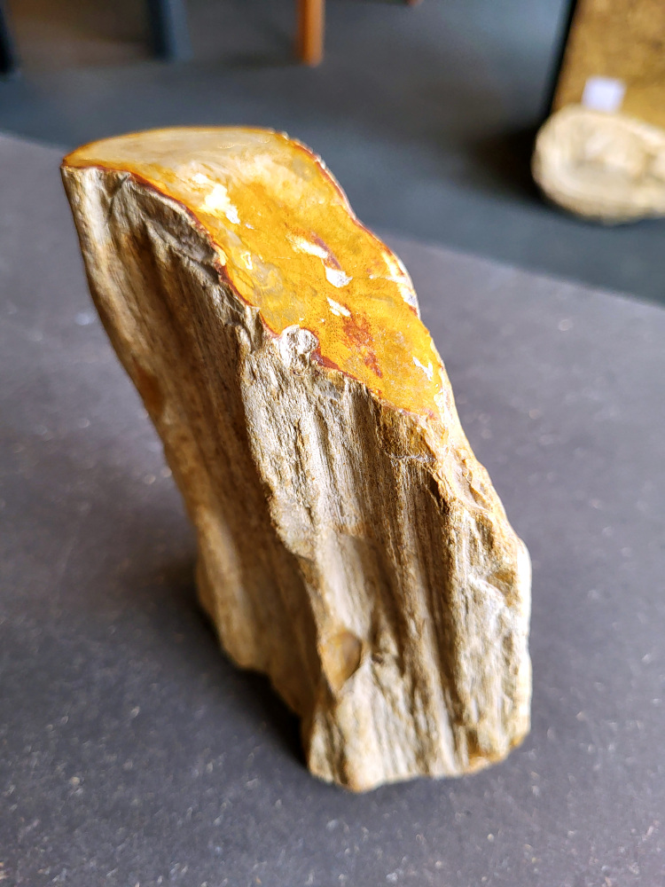 <strong>Versteend hout uit Madagaskar, 1 kg, 12,- euro, nr. 24

Versteend hout, beschrijving
Versteend hout
Chakra: wortelchakra (Muladhara)
Versteend hout is miljoenen jaren oud!
Waar komt versteend hout vandaan en hoe ontstaan het?
Versteend hout, of gefossiliseerd hout, ontstaat wanneer een boom na zijn overlijden bedekt wordt door sediment, waardoor het langzaam omgezet wordt in steen. In plaats van te vergaan, wordt het hout geleidelijk vervangen door mineralen zoals silica. Dit proces behoudt de originele structuur van het hout, inclusief details zoals jaarringen en nerven. Het kan miljoenen jaren duren, aangezien het water dat rijk is aan mineralen de houtcellen binnendringt, terwijl zuurstof geen rol meer speelt in de afbraak.
De kleur van versteend hout is precies zoals het hout er oorspronkelijk uit zag.
Waar kan versteend hout niet goed tegen?
Het is bestand tegen de meeste elementen, maar kan niet goed tegen langdurige blootstelling aan fel zonlicht, extreme temperatuurwisselingen en scherpe voorwerpen die krassen kunnen veroorzaken.
Spirituele werking van versteend hout:
stabiliteit, rust en veiligheid
Fysiek zou het positieve effecten hebben op het skelet, de botten en de rug, en kan het ondersteuning bieden bij aandoeningen zoals osteoporose en ADHD.
Hoe opladen?
Je kunt versteend hout, als het volle maan is, ‘s nachts in het maanlicht leggen, bij een bergkristal of andere stenen leggen of reinigen met saliehout/palo santo.</strong>