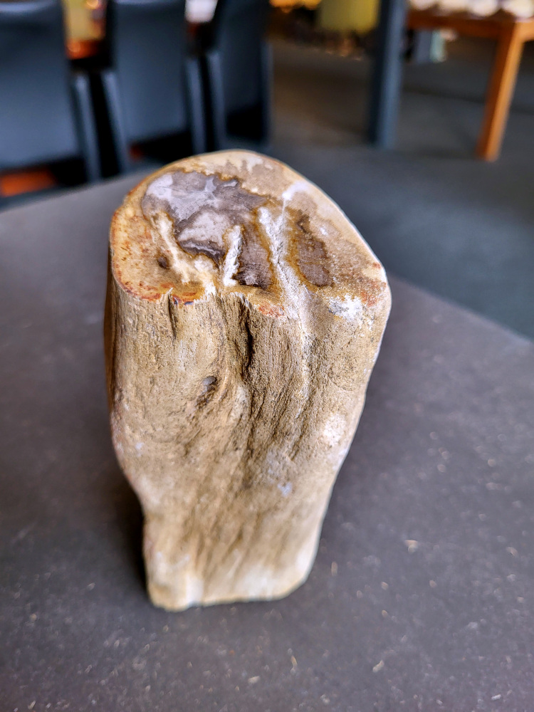 <strong>Versteend hout uit Madagaskar, 1kg, 12,- euro, nr. 23

Versteend hout, beschrijving
Versteend hout
Chakra: wortelchakra (Muladhara)
Versteend hout is miljoenen jaren oud!
Waar komt versteend hout vandaan en hoe ontstaan het?
Versteend hout, of gefossiliseerd hout, ontstaat wanneer een boom na zijn overlijden bedekt wordt door sediment, waardoor het langzaam omgezet wordt in steen. In plaats van te vergaan, wordt het hout geleidelijk vervangen door mineralen zoals silica. Dit proces behoudt de originele structuur van het hout, inclusief details zoals jaarringen en nerven. Het kan miljoenen jaren duren, aangezien het water dat rijk is aan mineralen de houtcellen binnendringt, terwijl zuurstof geen rol meer speelt in de afbraak.
De kleur van versteend hout is precies zoals het hout er oorspronkelijk uit zag.
Waar kan versteend hout niet goed tegen?
Het is bestand tegen de meeste elementen, maar kan niet goed tegen langdurige blootstelling aan fel zonlicht, extreme temperatuurwisselingen en scherpe voorwerpen die krassen kunnen veroorzaken.
Spirituele werking van versteend hout:
stabiliteit, rust en veiligheid
Fysiek zou het positieve effecten hebben op het skelet, de botten en de rug, en kan het ondersteuning bieden bij aandoeningen zoals osteoporose en ADHD.
Hoe opladen?
Je kunt versteend hout, als het volle maan is, ‘s nachts in het maanlicht leggen, bij een bergkristal of andere stenen leggen of reinigen met saliehout/palo santo.</strong>