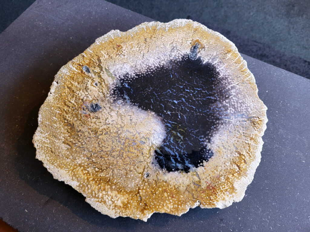 <strong>Versteend palmhout, 4,2kg, doorsnee 30cm, 85,- euro, nr. 11

Versteend hout, beschrijving
Versteend hout
Chakra: wortelchakra (Muladhara)
Versteend hout is miljoenen jaren oud!
Waar komt versteend hout vandaan en hoe ontstaan het?
Versteend hout, of gefossiliseerd hout, ontstaat wanneer een boom na zijn overlijden bedekt wordt door sediment, waardoor het langzaam omgezet wordt in steen. In plaats van te vergaan, wordt het hout geleidelijk vervangen door mineralen zoals silica. Dit proces behoudt de originele structuur van het hout, inclusief details zoals jaarringen en nerven. Het kan miljoenen jaren duren, aangezien het water dat rijk is aan mineralen de houtcellen binnendringt, terwijl zuurstof geen rol meer speelt in de afbraak.
De kleur van versteend hout is precies zoals het hout er oorspronkelijk uit zag.
Waar kan versteend hout niet goed tegen?
Het is bestand tegen de meeste elementen, maar kan niet goed tegen langdurige blootstelling aan fel zonlicht, extreme temperatuurwisselingen en scherpe voorwerpen die krassen kunnen veroorzaken.
Spirituele werking van versteend hout:
stabiliteit, rust en veiligheid
Fysiek zou het positieve effecten hebben op het skelet, de botten en de rug, en kan het ondersteuning bieden bij aandoeningen zoals osteoporose en ADHD.
Hoe opladen?
Je kunt versteend hout, als het volle maan is, ‘s nachts in het maanlicht leggen, bij een bergkristal of andere stenen leggen of reinigen met saliehout/palo santo.</strong>