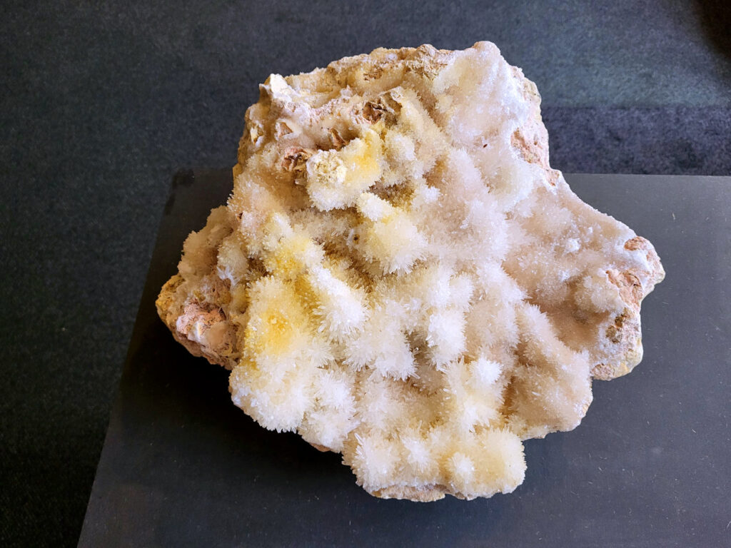 Hondentanden Calciet, 18kg, 395,- euro, nr. 17

Hondentandcalciet, beschrijving

Hondentandcalciet, ook wel Starburst calciet genoemd, is een vorm van calciet die bekend staat om zijn unieke, ruwe kristalstructuur die lijkt op hondentanden of varkensstanden. Het wordt gewaardeerd om zijn zachte, heldere uitstraling en wordt vaak gevonden in combinatie met andere mineralen zoals fluoriet. 
Kenmerken van Hondentandcalciet:
Kristalstructuur:
De kristallen zijn grillig, puntig en helder gevormd, wat een ruwe, natuurlijke uitstraling geeft. 
Kleur:
Meestal wit of licht van kleur, soms met bruine tinten of bedekt met andere mineralen zoals fluoriet. 
Energie:
Bekend om zijn zachte, lichtkracht en wordt geassocieerd met diepe transformaties en het openen van het bewustzijn. 
Vormen:
Te vinden in ruwe, onbewerkte vormen, maar ook op standaard of in combinatie met andere mineralen. 
Spiritueel:
Wordt gebruikt voor spirituele doeleinden, zoals meditatie en het openen van het bewustzijn. 
