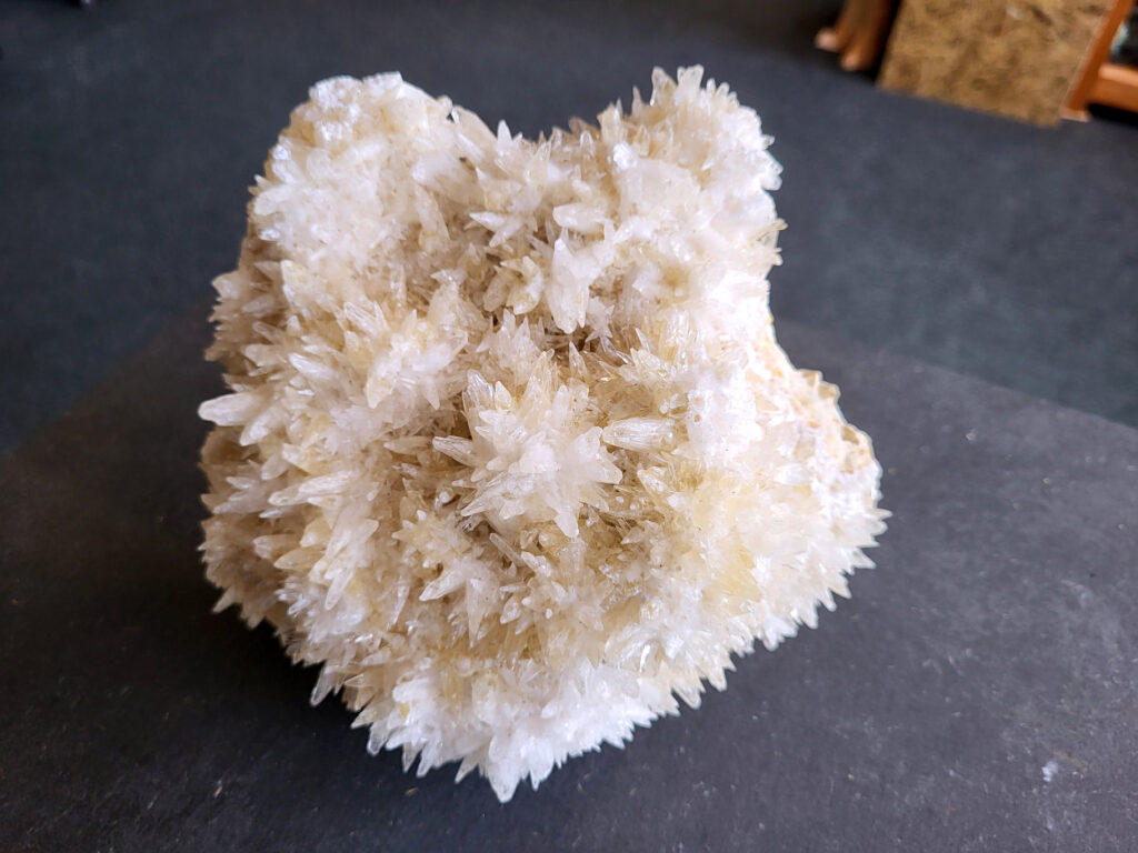 Hondentanden Calciet, 2,1kg, 46,- euro, nr. 41

Hondentandcalciet, beschrijving

Hondentandcalciet, ook wel Starburst calciet genoemd, is een vorm van calciet die bekend staat om zijn unieke, ruwe kristalstructuur die lijkt op hondentanden of varkensstanden. Het wordt gewaardeerd om zijn zachte, heldere uitstraling en wordt vaak gevonden in combinatie met andere mineralen zoals fluoriet. 
Kenmerken van Hondentandcalciet:
Kristalstructuur:
De kristallen zijn grillig, puntig en helder gevormd, wat een ruwe, natuurlijke uitstraling geeft. 
Kleur:
Meestal wit of licht van kleur, soms met bruine tinten of bedekt met andere mineralen zoals fluoriet. 
Energie:
Bekend om zijn zachte, lichtkracht en wordt geassocieerd met diepe transformaties en het openen van het bewustzijn. 
Vormen:
Te vinden in ruwe, onbewerkte vormen, maar ook op standaard of in combinatie met andere mineralen. 
Spiritueel:
Wordt gebruikt voor spirituele doeleinden, zoals meditatie en het openen van het bewustzijn. 

