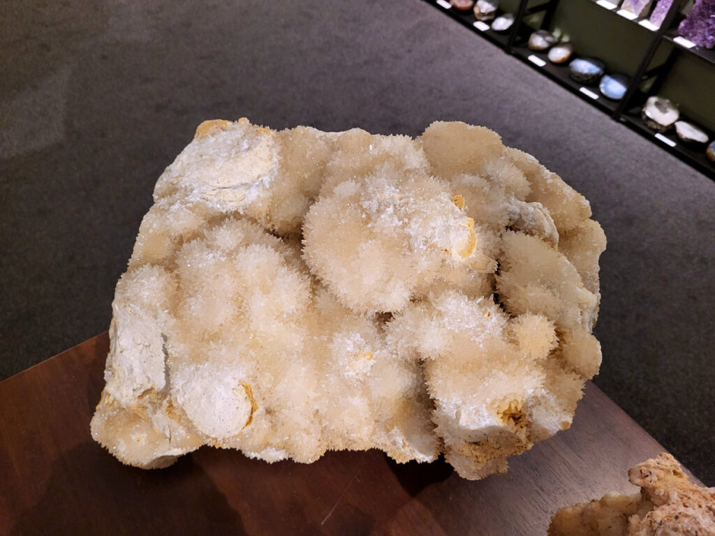 Hondentanden Calciet, 25,5kg, 26x45cm, 450,- euro, nr. 19

Hondentandcalciet, beschrijving

Hondentandcalciet, ook wel Starburst calciet genoemd, is een vorm van calciet die bekend staat om zijn unieke, ruwe kristalstructuur die lijkt op hondentanden of varkensstanden. Het wordt gewaardeerd om zijn zachte, heldere uitstraling en wordt vaak gevonden in combinatie met andere mineralen zoals fluoriet. 
Kenmerken van Hondentandcalciet:
Kristalstructuur:
De kristallen zijn grillig, puntig en helder gevormd, wat een ruwe, natuurlijke uitstraling geeft. 
Kleur:
Meestal wit of licht van kleur, soms met bruine tinten of bedekt met andere mineralen zoals fluoriet. 
Energie:
Bekend om zijn zachte, lichtkracht en wordt geassocieerd met diepe transformaties en het openen van het bewustzijn. 
Vormen:
Te vinden in ruwe, onbewerkte vormen, maar ook op standaard of in combinatie met andere mineralen. 
Spiritueel:
Wordt gebruikt voor spirituele doeleinden, zoals meditatie en het openen van het bewustzijn. 