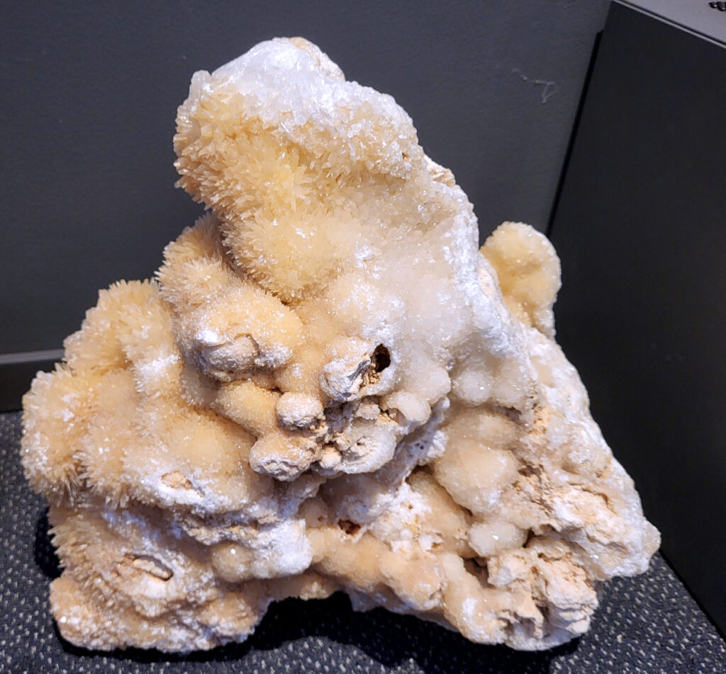 Hondentanden Calciet, 33kg, 40x40cm, 550,- euro, nr. 20

Hondentandcalciet, beschrijving

Hondentandcalciet, ook wel Starburst calciet genoemd, is een vorm van calciet die bekend staat om zijn unieke, ruwe kristalstructuur die lijkt op hondentanden of varkensstanden. Het wordt gewaardeerd om zijn zachte, heldere uitstraling en wordt vaak gevonden in combinatie met andere mineralen zoals fluoriet. 
Kenmerken van Hondentandcalciet:
Kristalstructuur:
De kristallen zijn grillig, puntig en helder gevormd, wat een ruwe, natuurlijke uitstraling geeft. 
Kleur:
Meestal wit of licht van kleur, soms met bruine tinten of bedekt met andere mineralen zoals fluoriet. 
Energie:
Bekend om zijn zachte, lichtkracht en wordt geassocieerd met diepe transformaties en het openen van het bewustzijn. 
Vormen:
Te vinden in ruwe, onbewerkte vormen, maar ook op standaard of in combinatie met andere mineralen. 
Spiritueel:
Wordt gebruikt voor spirituele doeleinden, zoals meditatie en het openen van het bewustzijn. 
