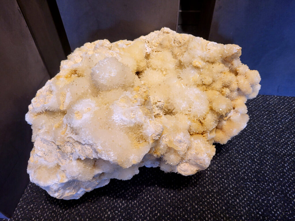 Hondentanden Calciet, 40 kg, 30x47cm, 650,- euro, nr. 21

Hondentandcalciet, beschrijving

Hondentandcalciet, ook wel Starburst calciet genoemd, is een vorm van calciet die bekend staat om zijn unieke, ruwe kristalstructuur die lijkt op hondentanden of varkensstanden. Het wordt gewaardeerd om zijn zachte, heldere uitstraling en wordt vaak gevonden in combinatie met andere mineralen zoals fluoriet. 
Kenmerken van Hondentandcalciet:
Kristalstructuur:
De kristallen zijn grillig, puntig en helder gevormd, wat een ruwe, natuurlijke uitstraling geeft. 
Kleur:
Meestal wit of licht van kleur, soms met bruine tinten of bedekt met andere mineralen zoals fluoriet. 
Energie:
Bekend om zijn zachte, lichtkracht en wordt geassocieerd met diepe transformaties en het openen van het bewustzijn. 
Vormen:
Te vinden in ruwe, onbewerkte vormen, maar ook op standaard of in combinatie met andere mineralen. 
Spiritueel:
Wordt gebruikt voor spirituele doeleinden, zoals meditatie en het openen van het bewustzijn. 
