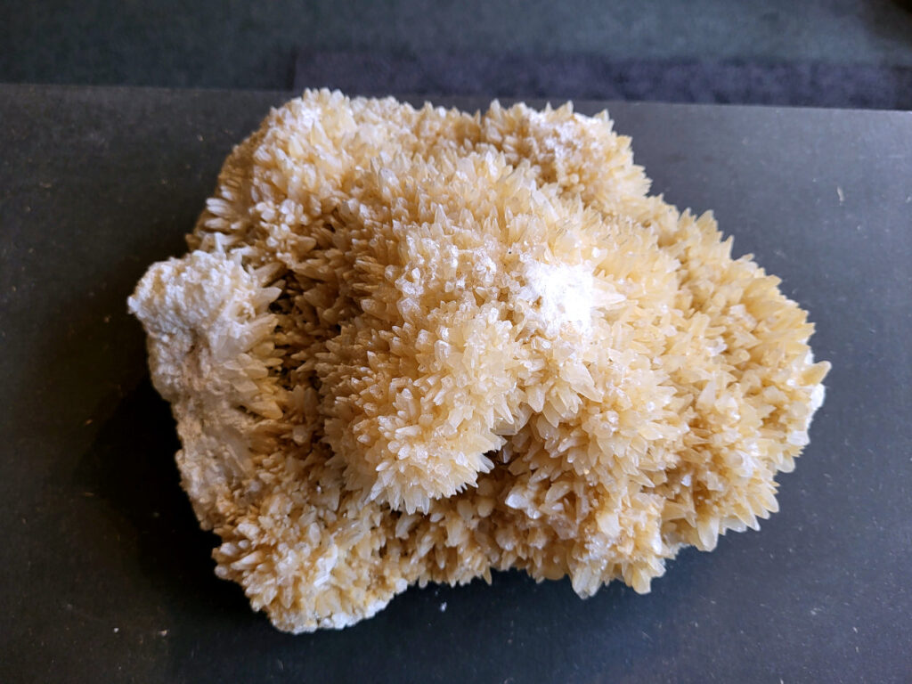 Hondentanden Calciet, 4,2kg, 93,- euro, nr. 4

Hondentandcalciet, beschrijving

Hondentandcalciet, ook wel Starburst calciet genoemd, is een vorm van calciet die bekend staat om zijn unieke, ruwe kristalstructuur die lijkt op hondentanden of varkensstanden. Het wordt gewaardeerd om zijn zachte, heldere uitstraling en wordt vaak gevonden in combinatie met andere mineralen zoals fluoriet. 
Kenmerken van Hondentandcalciet:
Kristalstructuur:
De kristallen zijn grillig, puntig en helder gevormd, wat een ruwe, natuurlijke uitstraling geeft. 
Kleur:
Meestal wit of licht van kleur, soms met bruine tinten of bedekt met andere mineralen zoals fluoriet. 
Energie:
Bekend om zijn zachte, lichtkracht en wordt geassocieerd met diepe transformaties en het openen van het bewustzijn. 
Vormen:
Te vinden in ruwe, onbewerkte vormen, maar ook op standaard of in combinatie met andere mineralen. 
Spiritueel:
Wordt gebruikt voor spirituele doeleinden, zoals meditatie en het openen van het bewustzijn. 
