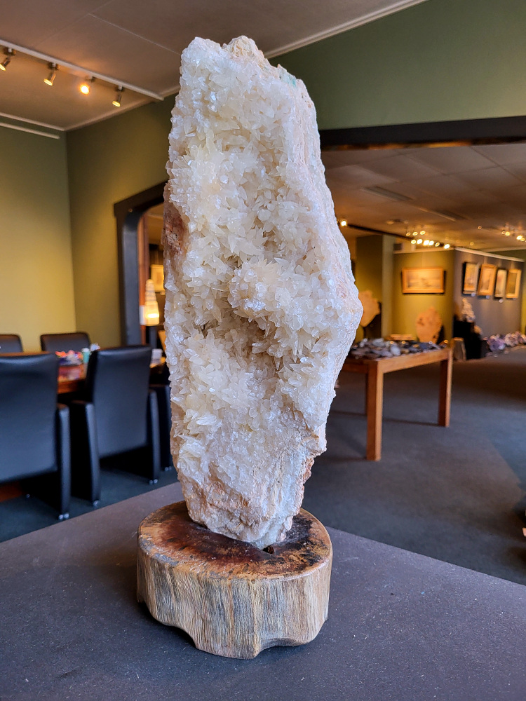 Hondentandencalciet, 11 kg, hoogte 50cm, op standaard, 220,- euro, nr. 50

Hondentandcalciet, beschrijving

Hondentandcalciet, ook wel Starburst calciet genoemd, is een vorm van calciet die bekend staat om zijn unieke, ruwe kristalstructuur die lijkt op hondentanden of varkensstanden. Het wordt gewaardeerd om zijn zachte, heldere uitstraling en wordt vaak gevonden in combinatie met andere mineralen zoals fluoriet. 
Kenmerken van Hondentandcalciet:
Kristalstructuur:
De kristallen zijn grillig, puntig en helder gevormd, wat een ruwe, natuurlijke uitstraling geeft. 
Kleur:
Meestal wit of licht van kleur, soms met bruine tinten of bedekt met andere mineralen zoals fluoriet. 
Energie:
Bekend om zijn zachte, lichtkracht en wordt geassocieerd met diepe transformaties en het openen van het bewustzijn. 
Vormen:
Te vinden in ruwe, onbewerkte vormen, maar ook op standaard of in combinatie met andere mineralen. 
Spiritueel:
Wordt gebruikt voor spirituele doeleinden, zoals meditatie en het openen van het bewustzijn. 
