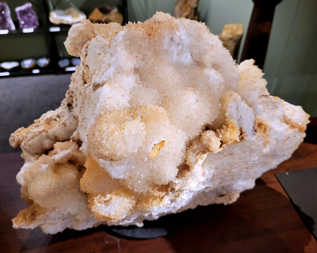 Hondentandencalciet, 24kg, 35x45cm, 440,- euro, nr. 18

Hondentandcalciet, beschrijving

Hondentandcalciet, ook wel Starburst calciet genoemd, is een vorm van calciet die bekend staat om zijn unieke, ruwe kristalstructuur die lijkt op hondentanden of varkensstanden. Het wordt gewaardeerd om zijn zachte, heldere uitstraling en wordt vaak gevonden in combinatie met andere mineralen zoals fluoriet. 
Kenmerken van Hondentandcalciet:
Kristalstructuur:
De kristallen zijn grillig, puntig en helder gevormd, wat een ruwe, natuurlijke uitstraling geeft. 
Kleur:
Meestal wit of licht van kleur, soms met bruine tinten of bedekt met andere mineralen zoals fluoriet. 
Energie:
Bekend om zijn zachte, lichtkracht en wordt geassocieerd met diepe transformaties en het openen van het bewustzijn. 
Vormen:
Te vinden in ruwe, onbewerkte vormen, maar ook op standaard of in combinatie met andere mineralen. 
Spiritueel:
Wordt gebruikt voor spirituele doeleinden, zoals meditatie en het openen van het bewustzijn. 
