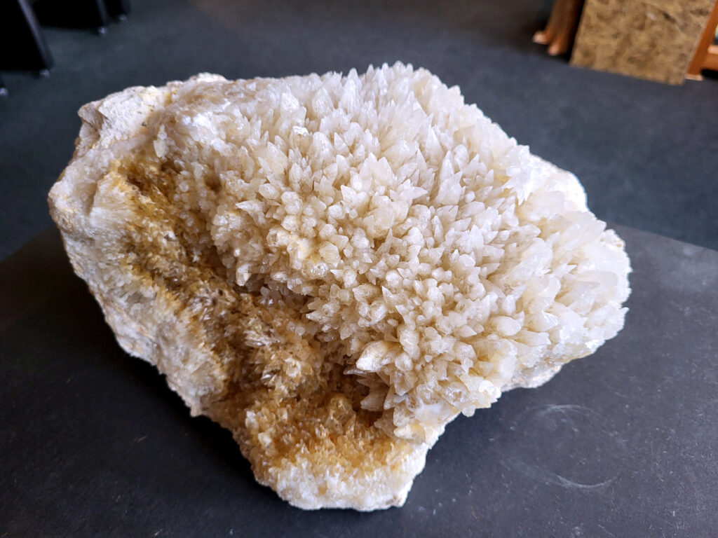 Hondentandencalciet, 8,4 kg, 185,- euro, nr. 46

Hondentandcalciet, beschrijving

Hondentandcalciet, ook wel Starburst calciet genoemd, is een vorm van calciet die bekend staat om zijn unieke, ruwe kristalstructuur die lijkt op hondentanden of varkensstanden. Het wordt gewaardeerd om zijn zachte, heldere uitstraling en wordt vaak gevonden in combinatie met andere mineralen zoals fluoriet. 
Kenmerken van Hondentandcalciet:
Kristalstructuur:
De kristallen zijn grillig, puntig en helder gevormd, wat een ruwe, natuurlijke uitstraling geeft. 
Kleur:
Meestal wit of licht van kleur, soms met bruine tinten of bedekt met andere mineralen zoals fluoriet. 
Energie:
Bekend om zijn zachte, lichtkracht en wordt geassocieerd met diepe transformaties en het openen van het bewustzijn. 
Vormen:
Te vinden in ruwe, onbewerkte vormen, maar ook op standaard of in combinatie met andere mineralen. 
Spiritueel:
Wordt gebruikt voor spirituele doeleinden, zoals meditatie en het openen van het bewustzijn. 

