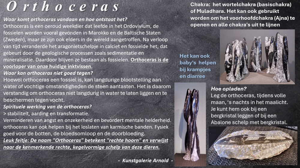 Orthoceras, beschrijving