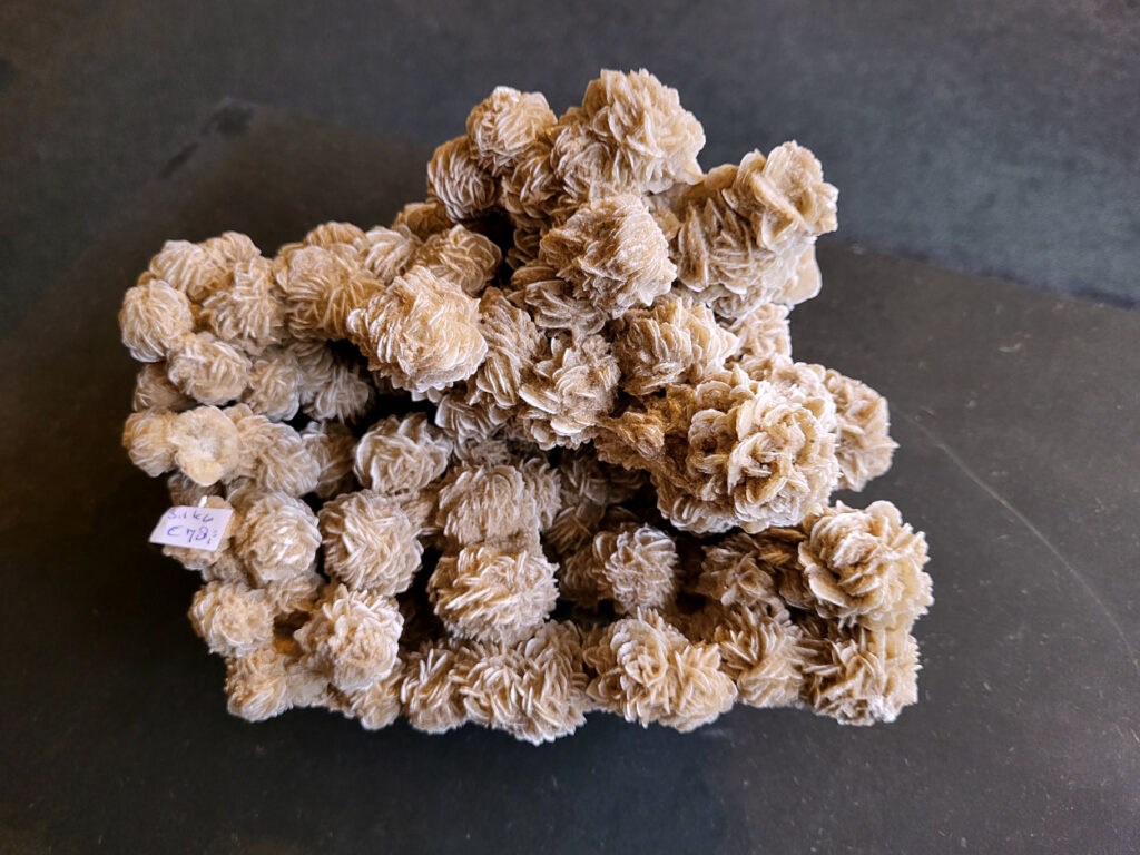 <strong>Woestijnroos, 3,1kg, 26x22cm,78,- euro, nr. 46

Woestijnroos, beschrijving
Hoe de woestijnroos ontstaat
Locatie:
In droge, zanderige gebieden waar grondwater onder de grond zit.
Proces:
Door de hitte van de zon komt het grondwater aan het oppervlak, waar het vervolgens snel verdampt.
Mineralen:
Het water dat verdampt, bevat mineralen zoals gips of bariet, die als zoutkristallen achterblijven.
Vorming:
Deze mineralen mengen zich met de zandkorrels die aanwezig zijn in de grond en vormen een roosachtige structuur. Dit proces duurt jaren en resulteert in de karakteristieke, bloemachtige vorm van de woestijnroos.

De woestijnroos wordt gezien als een steen die helpt bij innerlijke rust, bescherming en balans. De werking is gericht op het loslaten van negatieve energie, oude patronen en angsten, en het bevorderen van spirituele groei en helderheid. Fysiek wordt aangenomen dat het ondersteuning biedt bij stress, de huid kalmeert en de energiebalans in het lichaam verbetert.</strong>