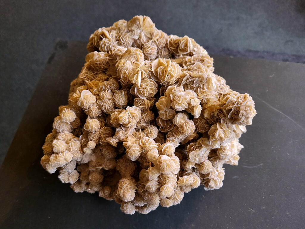 <strong>Woestijnroos, 4,7kg, 25x25cm, 117,- euro, nr. 47,

Woestijnroos, beschrijving
Hoe de woestijnroos ontstaat
Locatie:
In droge, zanderige gebieden waar grondwater onder de grond zit.
Proces:
Door de hitte van de zon komt het grondwater aan het oppervlak, waar het vervolgens snel verdampt.
Mineralen:
Het water dat verdampt, bevat mineralen zoals gips of bariet, die als zoutkristallen achterblijven.
Vorming:
Deze mineralen mengen zich met de zandkorrels die aanwezig zijn in de grond en vormen een roosachtige structuur. Dit proces duurt jaren en resulteert in de karakteristieke, bloemachtige vorm van de woestijnroos.

De woestijnroos wordt gezien als een steen die helpt bij innerlijke rust, bescherming en balans. De werking is gericht op het loslaten van negatieve energie, oude patronen en angsten, en het bevorderen van spirituele groei en helderheid. Fysiek wordt aangenomen dat het ondersteuning biedt bij stress, de huid kalmeert en de energiebalans in het lichaam verbetert.</strong>