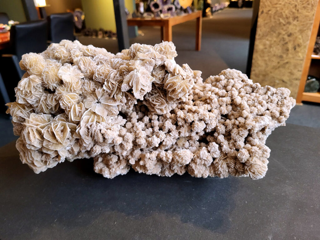 <strong>Woestijnroos, 7,3kg, 38x22cm, 183,- euro, nr. 48

Woestijnroos, beschrijving
Hoe de woestijnroos ontstaat
Locatie:
In droge, zanderige gebieden waar grondwater onder de grond zit.
Proces:
Door de hitte van de zon komt het grondwater aan het oppervlak, waar het vervolgens snel verdampt.
Mineralen:
Het water dat verdampt, bevat mineralen zoals gips of bariet, die als zoutkristallen achterblijven.
Vorming:
Deze mineralen mengen zich met de zandkorrels die aanwezig zijn in de grond en vormen een roosachtige structuur. Dit proces duurt jaren en resulteert in de karakteristieke, bloemachtige vorm van de woestijnroos.

De woestijnroos wordt gezien als een steen die helpt bij innerlijke rust, bescherming en balans. De werking is gericht op het loslaten van negatieve energie, oude patronen en angsten, en het bevorderen van spirituele groei en helderheid. Fysiek wordt aangenomen dat het ondersteuning biedt bij stress, de huid kalmeert en de energiebalans in het lichaam verbetert.</strong>